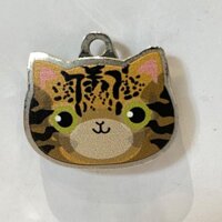 Nametag Bengal Của Mèo (Inox)