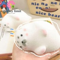 Năng LƯỢNG GIỚI HẠN Big Seal Bóp Đồ chơi, Hoạt hình đầy màu sắc Mô phỏng Con dấu Bóp Đồ chơi, Vui nhộn Phục hồi chậm 13cm Con dấu động vật Fidget Đồ chơi cảm giác