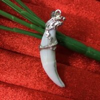 Nanh sói rừng châu phi bọc bạc ta