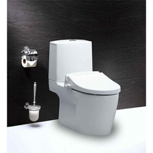 Nắp bàn cầu đa năng Caesar TAF050