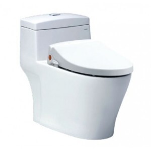 Nắp bàn cầu đa năng Caesar TAF050