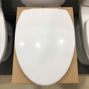 Nắp bàn cầu rơi êm HA07