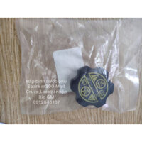Nắp bình nước phụ, Nắp  Bình nước làm  mát Cruze, Lacetti nhập, Spark m300 xịn GM