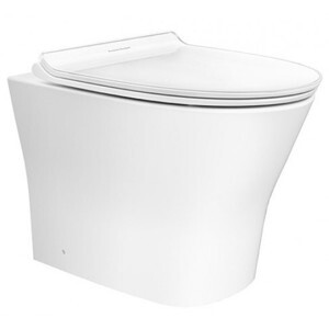 Nắp bồn cầu American Standard WP-C119