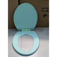 Nắp bồn cầu màu xanh ngọc