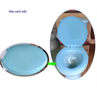 Nắp bồn cầu nhựa thông dụng với hầu hết các loại bồn cầu trên thị trường màu trắng, xanh cốm, xanh biển, xanh ngọc