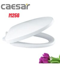 Nắp bồn cầu rơi êm Caesar M256