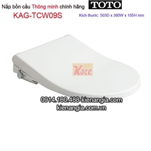 Nắp bồn cầu Toto TCW09S
