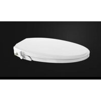 Nắp bồn cầu tự rửa thông minh, tự xịt rửa và vệ sinh phụ nữ