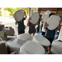 nắp bồn cầu vệ sinh rơi êm ( dành cho bệt không liền khối)