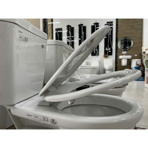 Nắp bồn cầu Viglacera 1102