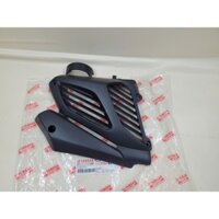 Nắp che két nước Nouvo 4, LX 135, din.