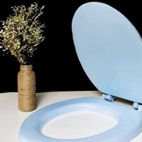 nắp đậy bồn cầu bằng silicon chống nước,mềm mại,tiện lợi với mọi nhà