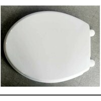 Nắp nhựa bồn cầu Thiên Thanh  màu trắng