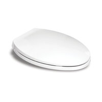 Nắp nhựa dùng cho bồn cầu American Standard nắp đóng êm SCVN4800WTCRTS480-1M