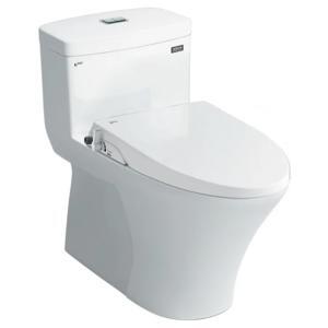 Nắp rửa bồn cầu Inax CW-S15VN