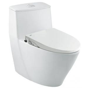 Nắp rửa bồn cầu Inax CW-S15VN