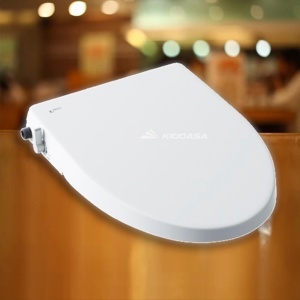 Nắp rửa bồn cầu Inax CW-S15VN