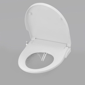 Nắp rửa bồn cầu Inax CW-S15VN