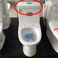 nắp sứ bồn cầu thiên thanh water, nắp bồn cầu thiên thanh water