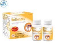 Nattospes (lọ) – Phòng ngừa và phục hồi tai biến mạch máu não