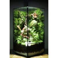 Natural tank 10x10x20cm