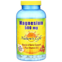 Nature’s Life Magnesium 500 mg 250 Vegetarian Capsules
