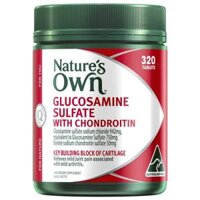 Nature's Own Glucosamine Sulfate with Chondroitin 320 viên