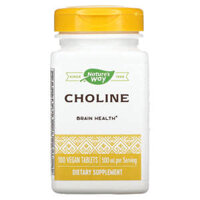 Nature’s Way Choline 500 mg 100 Vegan Tablets