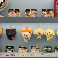 nct wish doll nct wish album nct wish nct wish album Móc khóa hoạt hình NCTWISH Pop-Up Giai đoạn 2, mặt dây chuyền nhồi bông, phụ kiện ngôi sao, trang trí treo dễ thương YUSHI