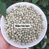ndk13 Đậu Hà Lan Khô   Đậu hà lan làm sữa hạt phòng ngừa bệnh tim, trị bệnh táo bón, giảm cân và chống lão hóa - minh199