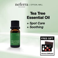 Neferra Spot Care + Tinh dầu xanh cây trà dịu 10ml