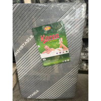 Nệm 3 phân PE Hàn Quốc ngang 1m2 dài 1m95 màu ngẫu nhiên loại Gấp 3