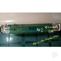 NỆM BÔNG ÉP ( GÒN ÉP ) HÀN QUỐC 0,8m x 2m x 5cm