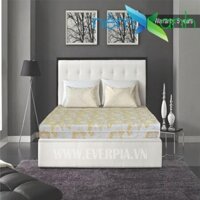 Nệm Bông Ép Than Hoạt Tính Everon