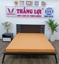 Nệm Cao Su 100% SuSu – Original 1m6 x 2m x 5cm