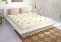 Nệm cao su 100 thiên nhiên cao cấp Gummi Standard 10cm tại Vua Nệm - Nâng đỡ vượt trội, thoáng kí tối ưu - 160x200 - 10cm