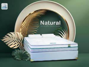 Nệm cao su Dầu Cọ Natural