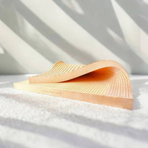 Nệm cao su Đồng Phú  Friendly