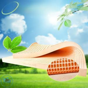 Nệm cao su Đồng Phú  Friendly