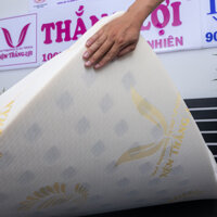 Nệm Cao Su Gold Latex 1m2 x 2m 10cm