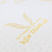 Nệm Cao Su Gold Latex 1m8 x 2m 15cm