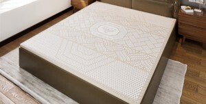 Nệm cao su Kim Cương TOPLUX 5'Zone