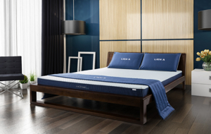 Nệm cao su Liên Á L’A Dome Blue 100x200x10cm