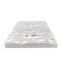 Nệm cao su mousse ép Venus gấp – Vải cotton