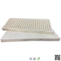 Nệm cao su NASAGO Standard 15cm Chính Hãng Giá Rẻ
