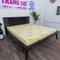 Nệm Cao Su Non 1m2 x 1m8 Thắng Lợi