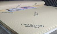 Nệm Cao Su Non American 1m6 x 2m x 15cm