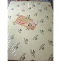 Nệm cao su non American 1m6 x 2m x 10 phân