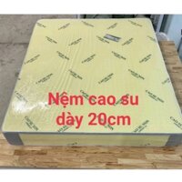 Nệm Cao Su Non AmeriCan 1m6x2mx20cm